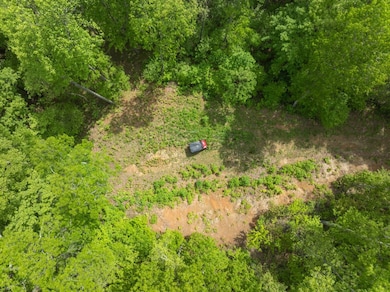 890 Panther Branch Rd, Hot Springs, NC 28743 - photo 4