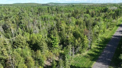 853 Calderwood Lot B Rd, Trout Creek, MI 49967 - photo 4