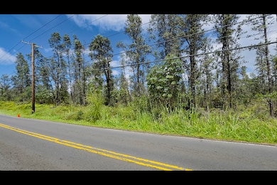 Looking to the left along Moho Road from approximate middle of lot 5096.