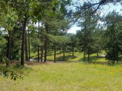 Lot 142 main