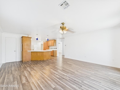 2437 Peach Bloom Hwy, Church Point, LA 70525 - photo 6