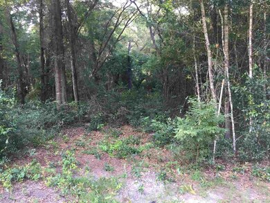 Survey marker on right, extends into woods.