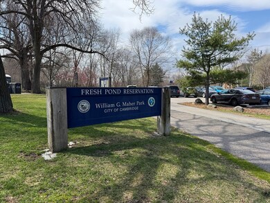 655 Concord Ave unit 501, Cambridge, MA 02138 - photo 3