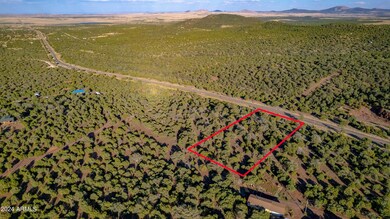 AERIAL EAST MARKED (1)