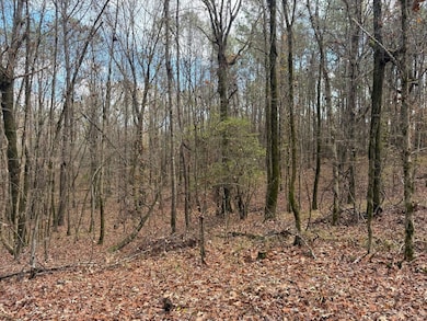 San Roc Rd, Grenada, MS 38901 - photo 3