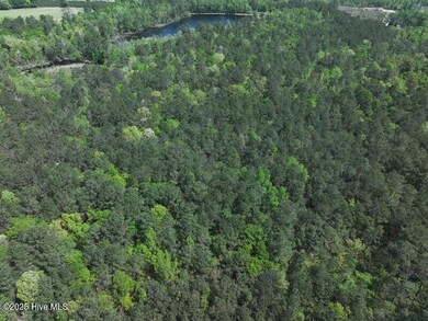 DJI_20250410124523_0535_D