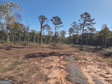 285 Lower Simmons Rd, Macon, GA 31220 - photo 5