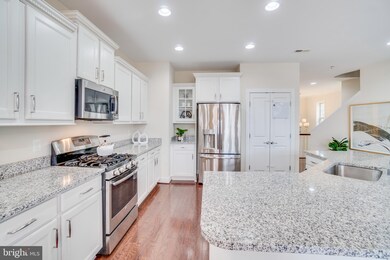 46673 Joubert Terrace, Potomac Falls, VA 20165 - photo 3