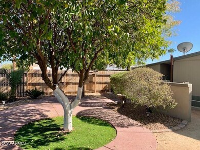 Huge Backyard