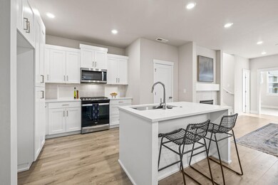 EST57-Paisley-M-Classic-Kitchen