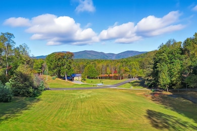 1047 Tickanetley Rd, Ellijay, GA 30536 - photo 3