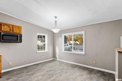 443 W Wilmot St, Chillicothe, IL 61523 - photo 6