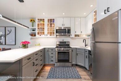 450 S Original St unit 4, Aspen, CO 81611 - photo 5