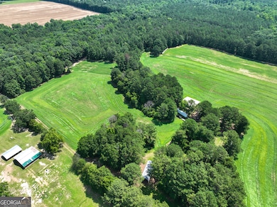 0 Silver Dollar Rd unit 10552561, Barnesville, GA 30204 - photo 6