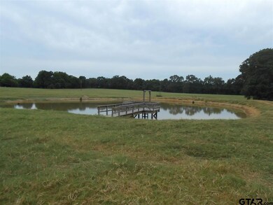 6411 County Road 21, Tyler, TX 75707 - photo 4