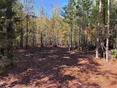 0 Bethuel Rd unit Lot 11, Unincorporated, TN 38053 - photo 4