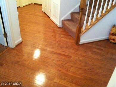 42937 Edgewater St, Chantilly, VA 20152 - photo 2