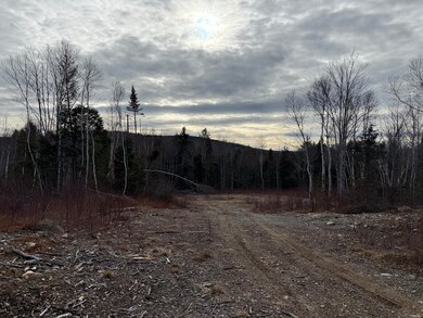 13E Moores Rd, Springfield, ME 04487 - photo 5