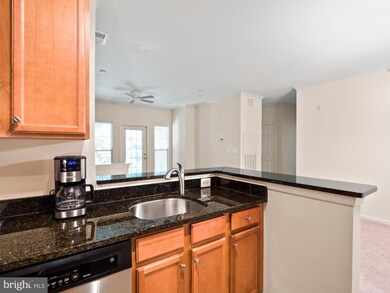 1505 N Point Dr unit 303, Reston, VA 20194 - photo 7