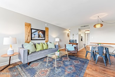 1260 Ski View Dr unit 8203, Gatlinburg, TN 37738 - photo 6