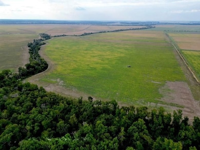 Quebec Rd, Tallulah, LA 71282 - photo 3