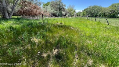 IMG_9781