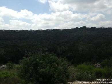 9866 Cash Mountain Rd, Helotes, TX 78023 - photo 7