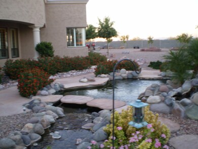KOI POND BACK OF HOME