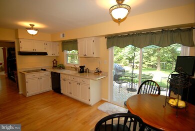 13010 Maple View Ln, Fairfax, VA 22033 - photo 5