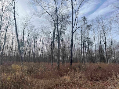 120 Acres Off County Sk Rd, Cornell, MI 49818 - photo 6