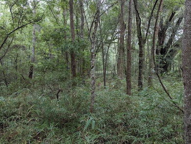 33 Middleton Oaks Rd, Charleston, SC 29414 - photo 3