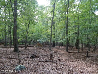 LOT 44 Boiling Springs, Gerrardstown, WV 25420 - photo 5
