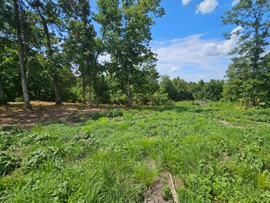 Creekwood-T-4 B pic 3