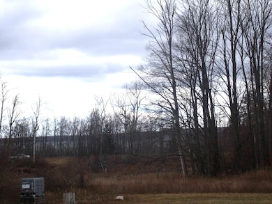 2327 Mcmichael Rd, Tuscarora Township, MI 49706 - photo 4