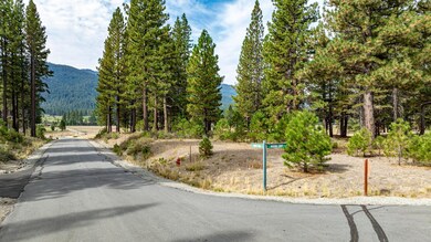 503 Redtail Loop, Clio, CA 96106 - photo 4