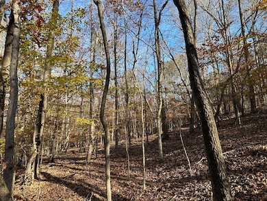 0 Dove Hill Rd unit 25439972, Royston, GA 30662 - photo 5