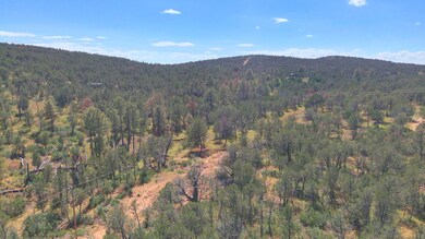 0 Ranger Ave unit 25579528, Timberon, NM 88350 - photo 6