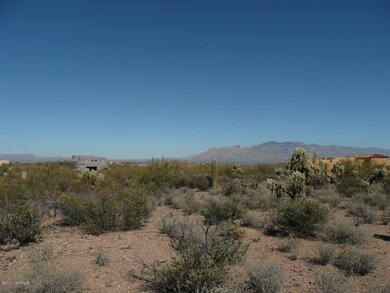 -Views of Pusch Ridge in the Distance