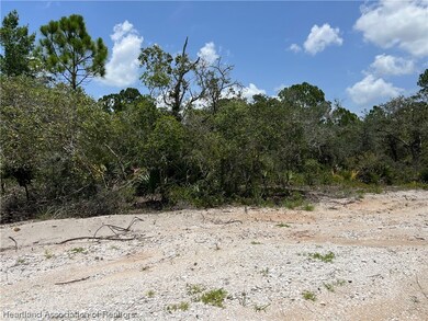 372 Jack Weisser Blvd, Lake Placid, FL 33852 - photo 4