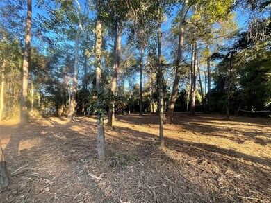 28024 Greenbriar Dr, Hockley, TX 77447 - photo 4