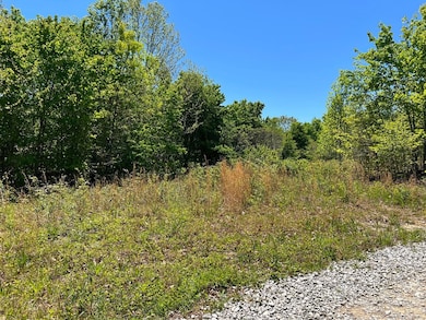 Lot J McCartt Ridge Ln, Sunbright, TN 37872 - photo 5