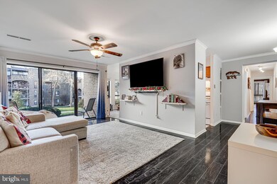 Chestnut Grove Condominiums unit 11236-161, Reston, VA 20190 - photo 4