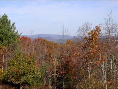 0 Brook Rd, Goshen, NH 03752 - photo 7