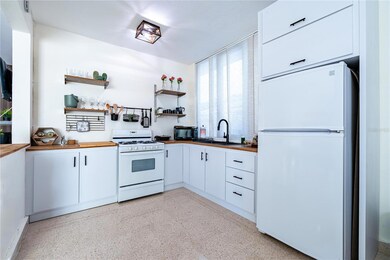 SR-101 POBLADO BOQUE Luis Muñoz Rivera, Cabo Rojo, PR 00623 - photo 6