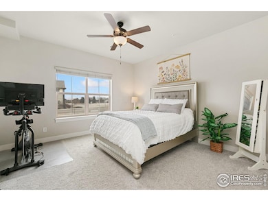 6582 Crystal Downs Dr unit 102, Windsor, CO 80550 - photo 4