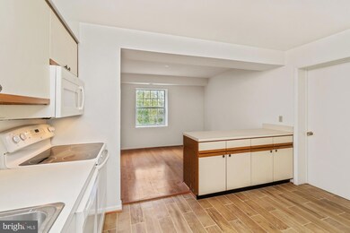 110 Castletown Rd unit 301, Lutherville Timonium, MD 21093 - photo 6