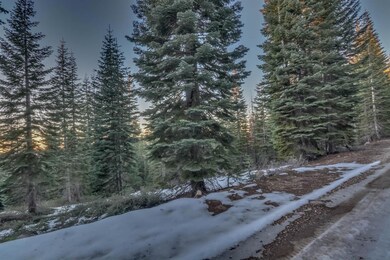 0 Prather Meadow Rd unit 225152963, Twain Harte, CA 95223 - photo 4