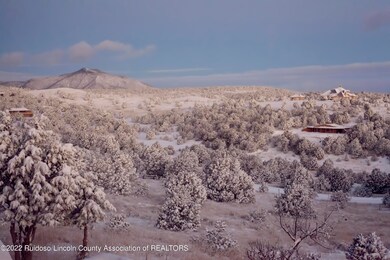 Frontyardsnow