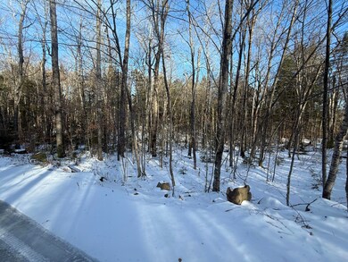 R6L9 Dickey Mills Rd, Avon, ME 04966 - photo 2