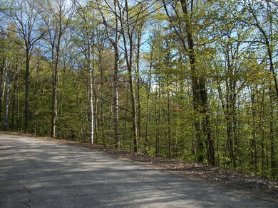 21C Pegwood, Campton, NH 03223 - photo 2